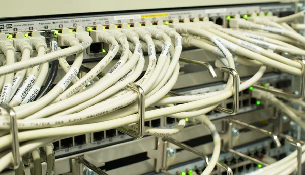 Network LAN patch panel — Stock Photo, Image