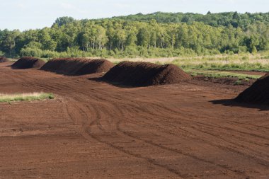 Turba bataklık moorland