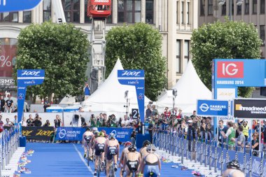 ITU Dünya Triatlonu Hamburg