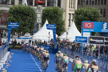 ITU Dünya Triatlonu Hamburg