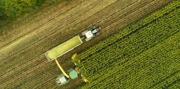 Maquinaria Agrícola Tractor Helicóptero Durante Cosecha Maíz —  Fotos de Stock