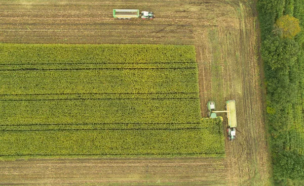 Máquinas Agrícolas Trator Helicóptero Durante Colheita Milho — Fotografia de Stock