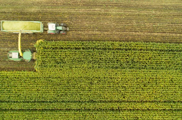 Máquinas Agrícolas Trator Helicóptero Durante Colheita Milho — Fotografia de Stock