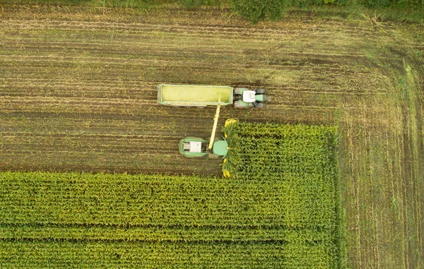 トウモロコシの収穫中の農業機械トラクターとチョッパー — ストック写真