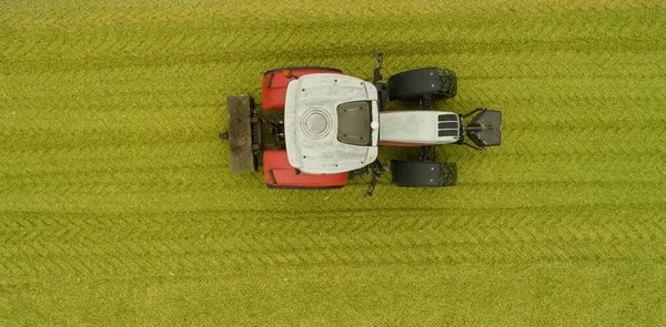 Kukoricaszilázson Lévő Traktor Kukorica Betakarítása Során — Stock Fotó