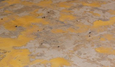 Bir apartmanın zeminine kaplama döşemek