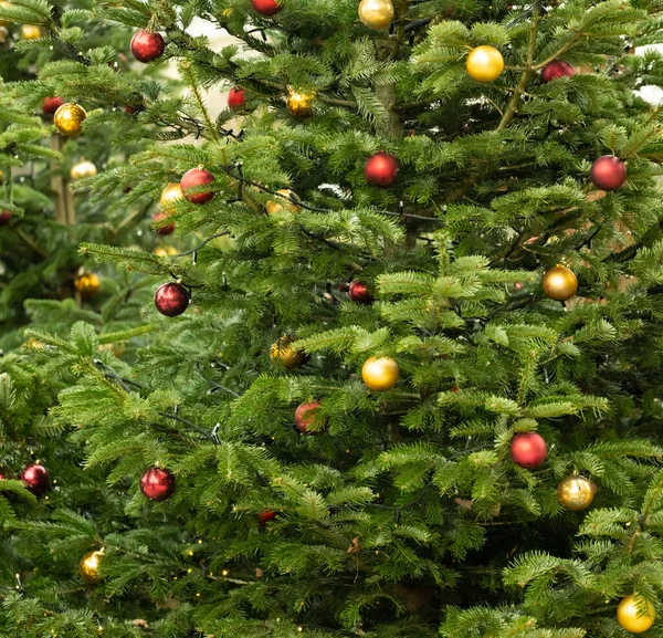 Geschmückter Tannenbaum Auf Einem Hamburger Weihnachtsmarkt — Stockfoto