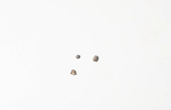 Камни Почках Мочеточники Оставляют Твердые Отложения После Воды — стоковое фото