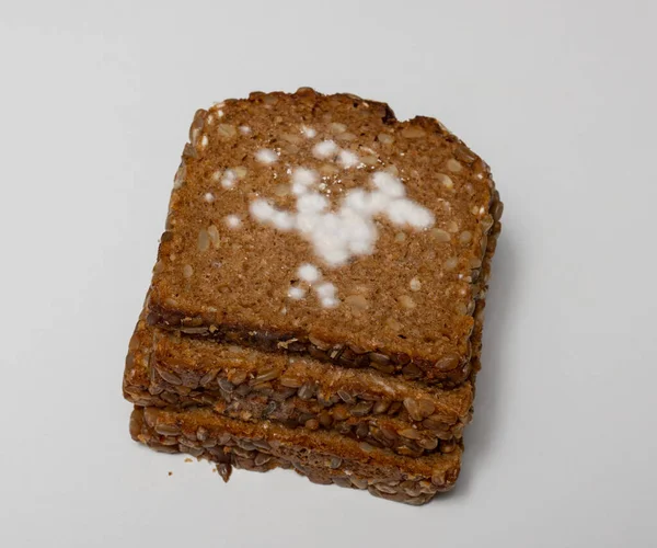 Witte Schimmel Een Volkorenbrood — Stockfoto