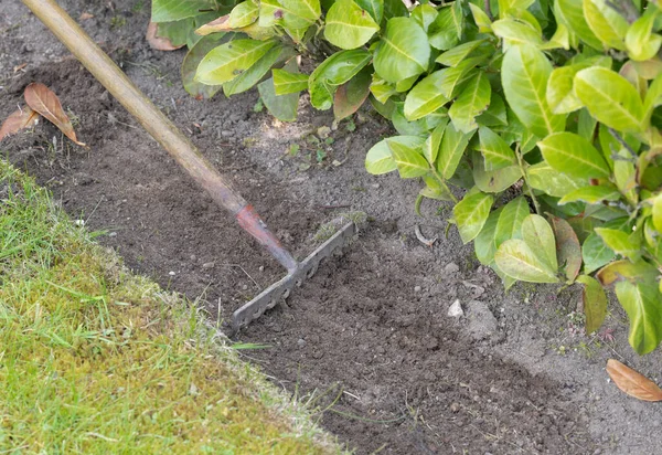 Bir Bahçeyi Temizlemek Için Çeşitli Bahçe Araçları — Stok fotoğraf