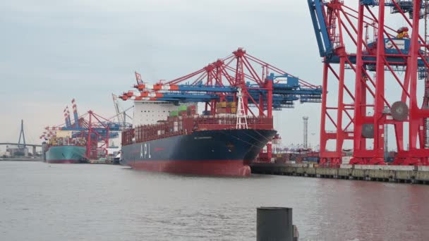 Containerterminal Eurogate Burchardkai Hamburg Und Entladung Verschiedener Container Durch Verschiedene — Stockvideo