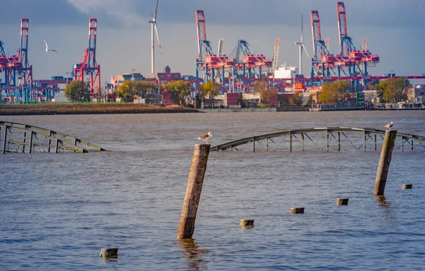 Elbe Översvämning Och Stormflod Pauli Fiskmarknaden Bakgrunden Hamburg Container Terminal — Stockfoto
