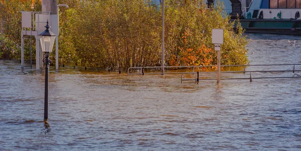 Inondation Elbe Onde Tempête Marché Aux Poissons Pauli — Photo