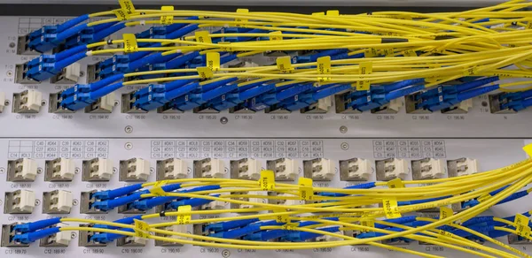 Interruptor Rede Com Cabo Fibra Óptica Data Center — Fotografia de Stock