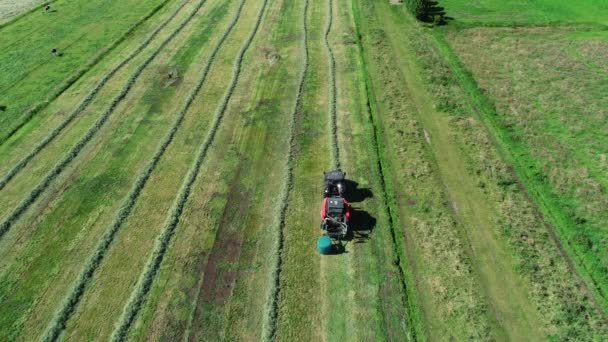 Traktor Mit Strohkammerpresse Bei Der Strohernte Auf Einem Gemähten Feld — Stockvideo