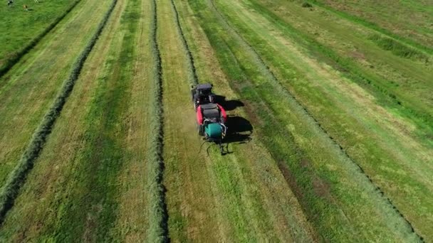 Case Tractor Kuhn Meifort Straw Fixed Chamber Press Straw Harvest — Stock Video