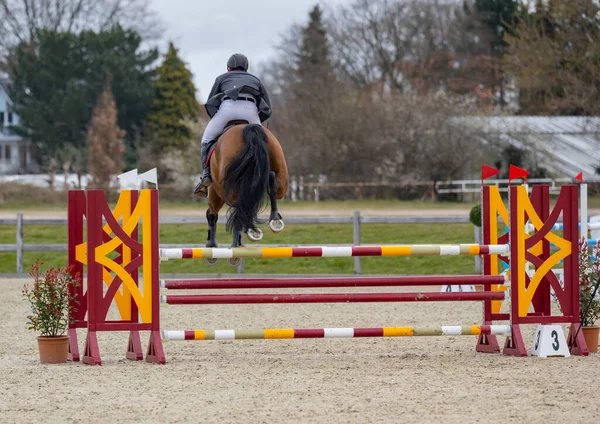 Horse jumps over an obstacle in show jumping