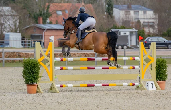 Horse jumps over an obstacle in show jumping