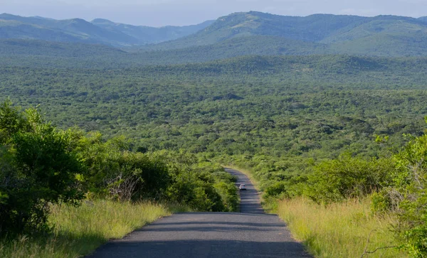 Hluhluwe Imfolozi Park Doğa Koruma Alanı Güney Afrika
