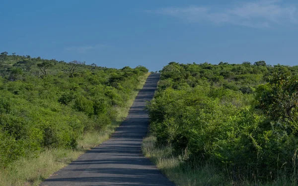 Hluhluwe Imfolozi Park Doğa Koruma Alanı Güney Afrika