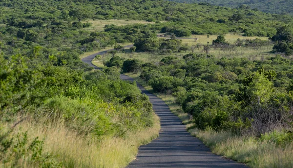 Hluhluwe Imfolozi Park Doğa Koruma Alanı Güney Afrika