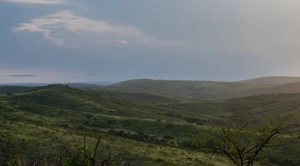 Hluhwe Imfolozi Park 自然保護区南アフリカ — ストック写真