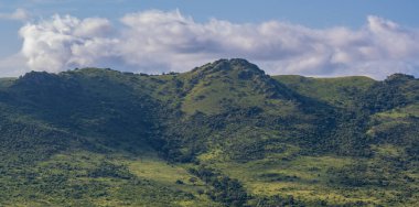Hluhluwe Imfolozi Park Doğa Koruma Alanı Güney Afrika