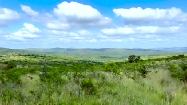 Hluhluwe Imfolozi Park Nature Reserve South Africa — стоковое видео