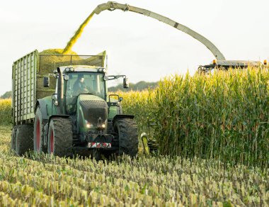 Mısır hasadı sırasında Silagewagon ve Claas Jaguar 960 mısır helikopterli FENDT Vario traktörü