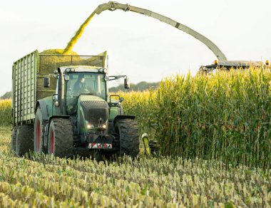 FENDT Vario tractor with Silagewagon and Claas Jaguar 960 maize chopper during the maize harvest clipart