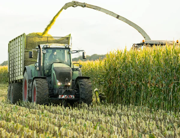 Fendt Vario Tractor Silagewagon Claas Jaguar 960 Maize Chopper Maize — Stockfoto