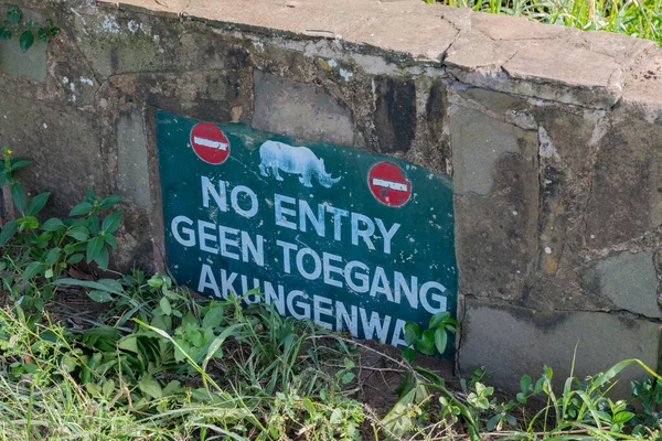 Passage Danger Rhinos Nature Reserve Hluhluwe National Park South Africa —  Fotos de Stock