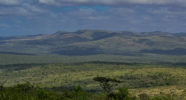 Hluhluwe Imfolozi Park Természetvédelmi Terület Dél Afrika — Stock Fotó