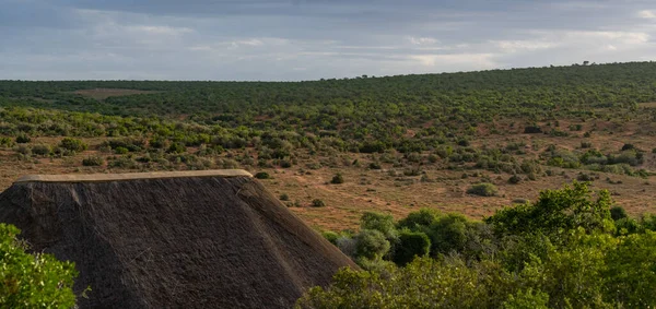 Nature Landscape Addo Elephant Park South Africa — Foto de Stock
