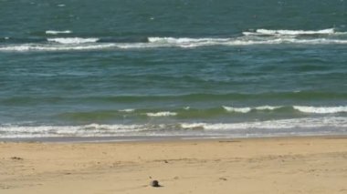 Indian Ocean off the coast of Plettenberg Bay South Africa