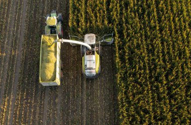 Tractor and corn chopper during corn harvest