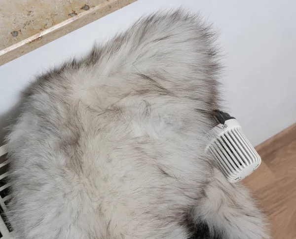 Soğuk Kış Mevsimi Için Isıtıcının Üzerindeki Kürk Eşarbı — Stok fotoğraf