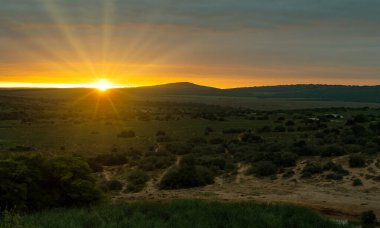 Güney Afrika 'daki Addo Fil Parkı' nda Gündoğumu ve Doğa Alanı