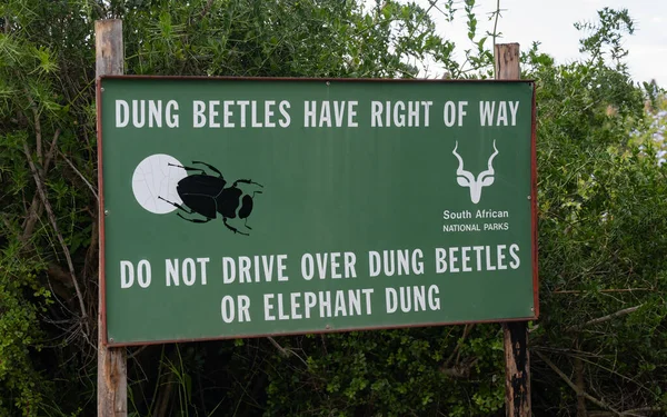Sign Park Visitors Dung Beetles Have Right Way Drive Dung — Stock Photo, Image