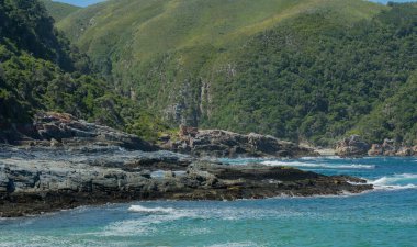 Hint Okyanusu ve Tsitsikamma Güney Afrika kıyıları