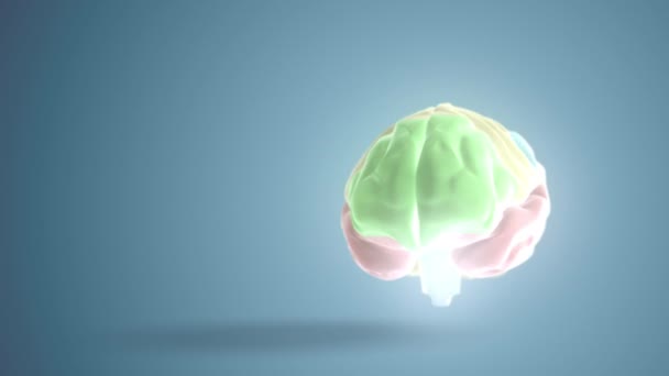 4k video de cerebro humano de color digital sobre fondo azul. — Vídeos de Stock