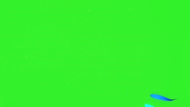 4k video av abstrakta glänsande blå designelement på grön bakgrund. — Stockvideo