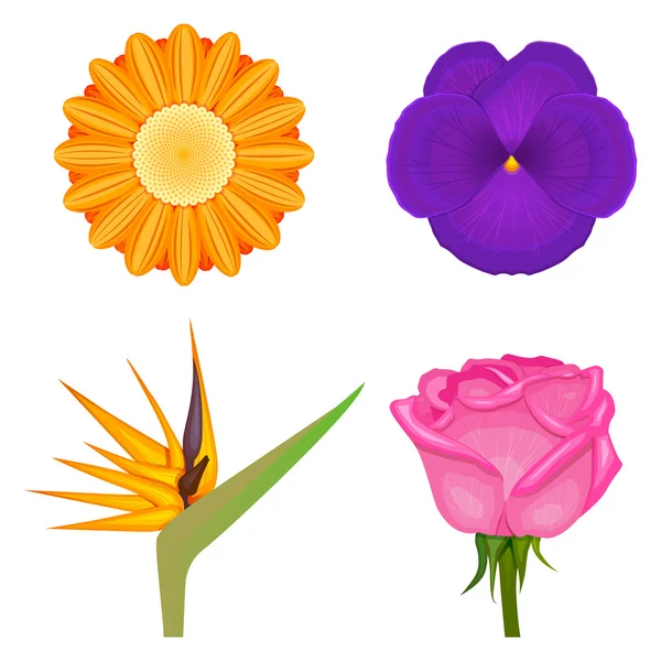 Egyszínű virágok szett — Stock Vector