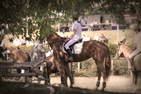 Um cavaleiro em um cavalo — Fotografia de Stock