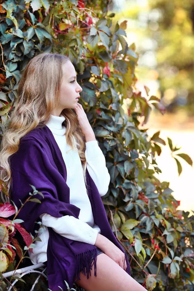 迷人的白种人金发姑娘 穿着淡紫色斗篷 坐在植物园里 美丽而明亮的野生葡萄叶子 这个概念是一个明亮而温暖的秋天 — 图库照片