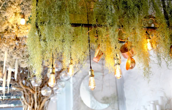 Hanging bulbs and modern lighting. Stylish decor on the ceiling of utensils and dry plants.