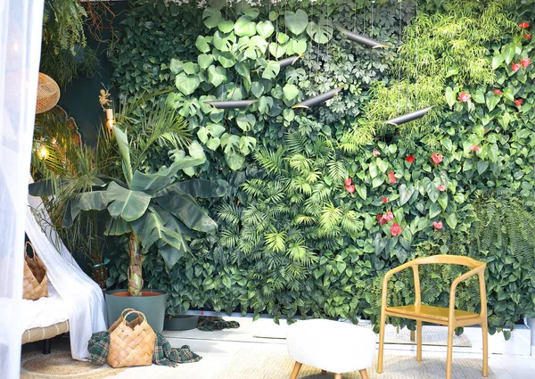 Phytowall Horizontal Interior Automatic Watering Living Green Wall New Trends — Stock Photo, Image