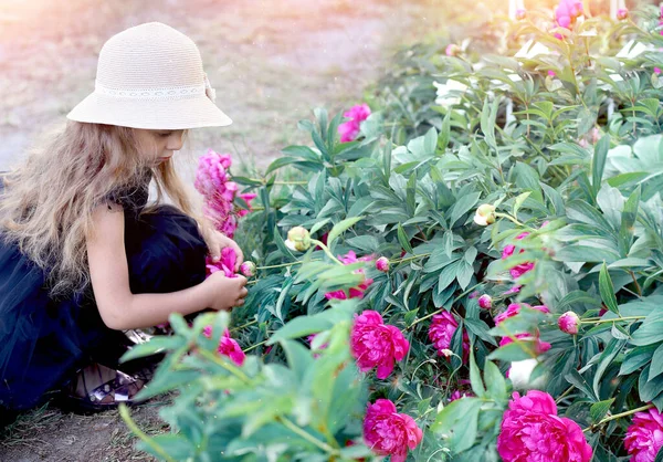 Little cute Caucasian girl in a black dress and hat is looking at a bush of peonies. View from above. Peony field, flowers. Concept of plants and gardening. Copy space on the right