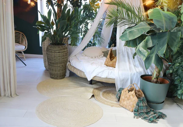 Bed with a white canopy in a modern interior. Bedding and pillows. Green palm tree and decor in the room.