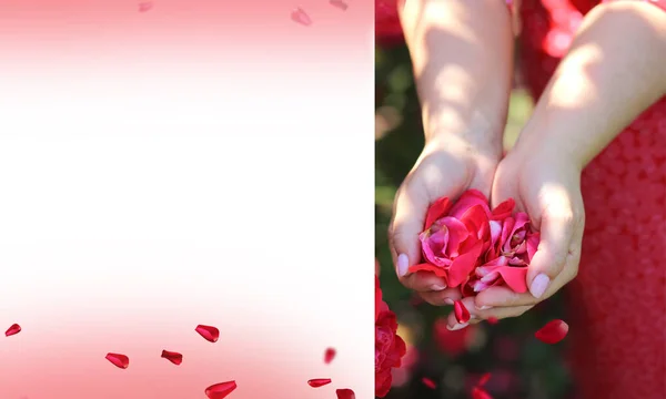 Διαφημιστικό Πανό Ροζ Πέταλα Γυναικεία Χέρια Επίπεδη Έννοια Λουλουδιών Αντιγραφή — Φωτογραφία Αρχείου